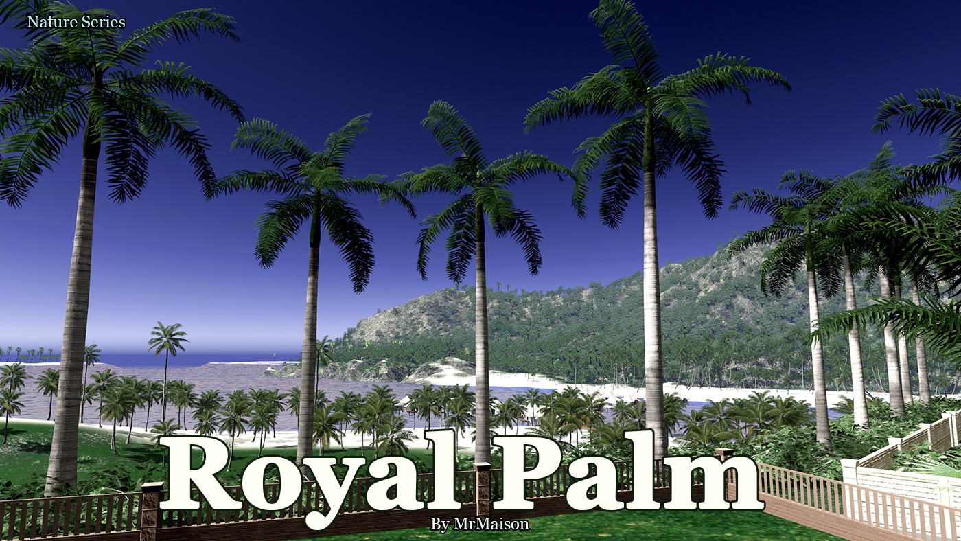 Royal Palm Promo.jpg